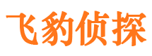 芦溪市私家侦探